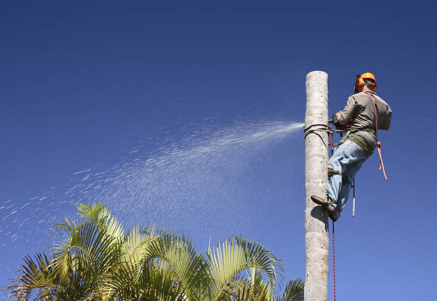 Mulching Services in Ridgeland, MS